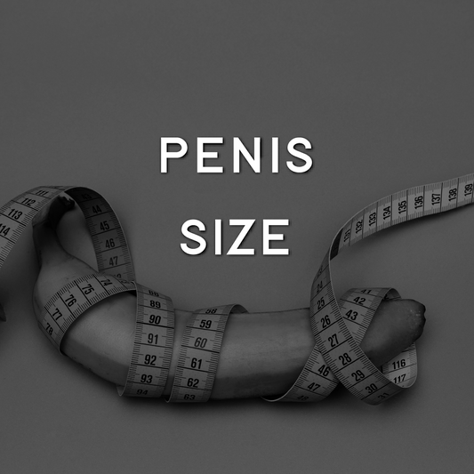 Penis Size